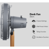 Boden Stark 30cm Desk Fan